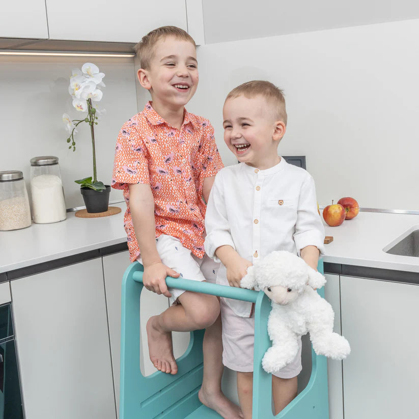 Premium Montessori learning tower