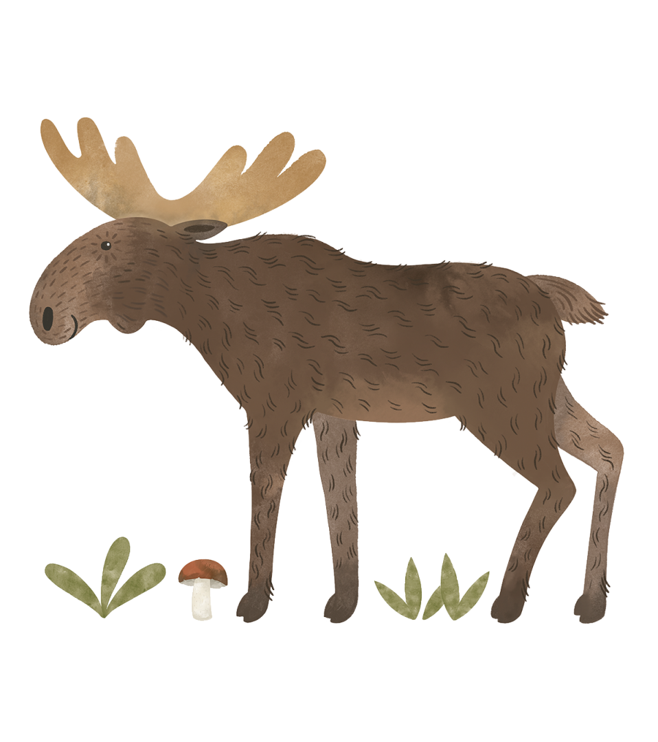 Planches de stickers Norwood Lilipinso - Wallpapers par Lilipinso