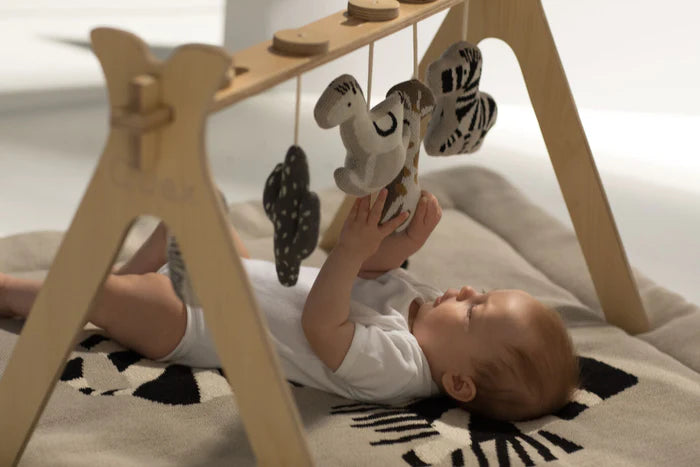 Découvrez les jeux d'éveil sur Babykare : arche d'éveil pour bébé