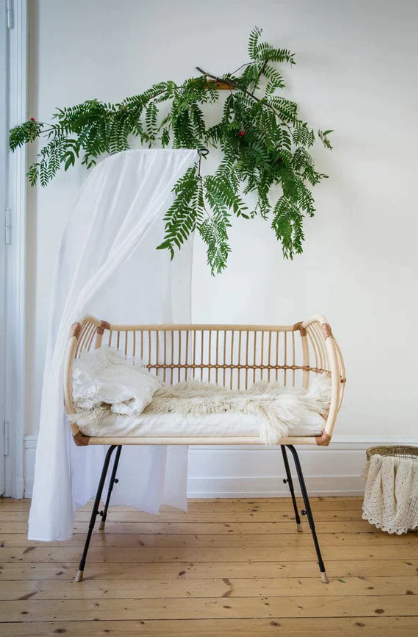 Comment se passe le cododo