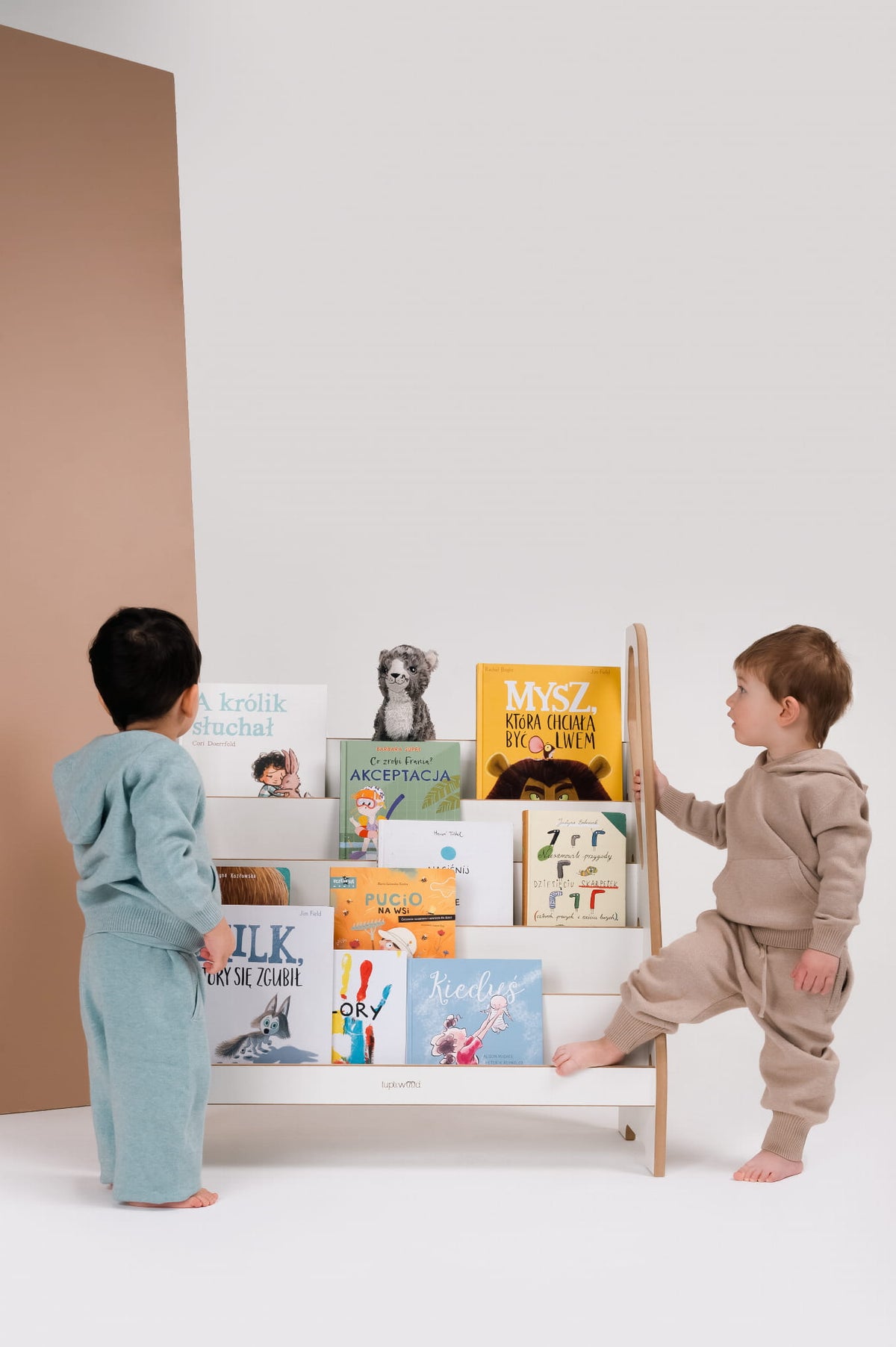 Maxi Montessori Bibliothèque
