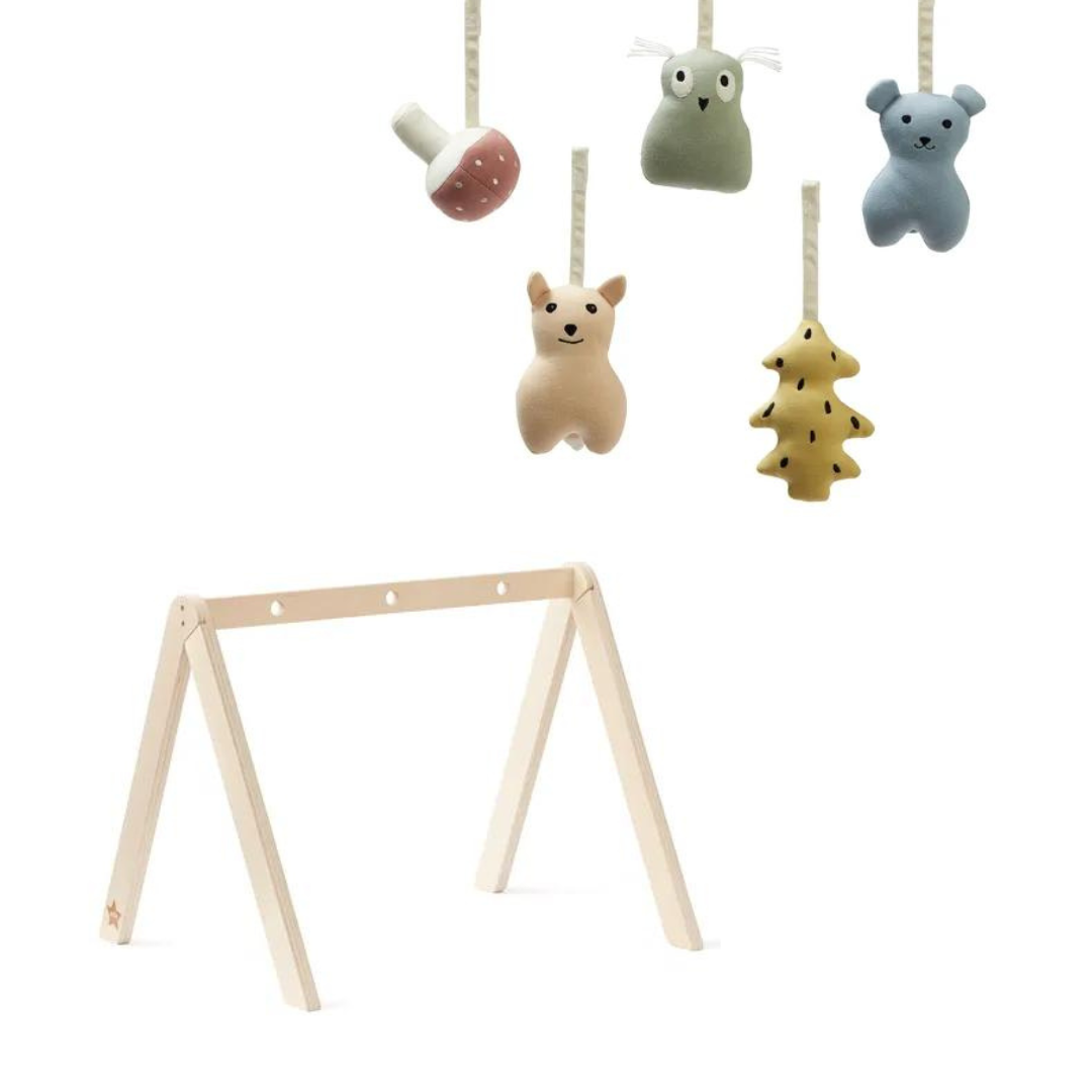 Kid's Concept Learning Arch and Toys Pack
