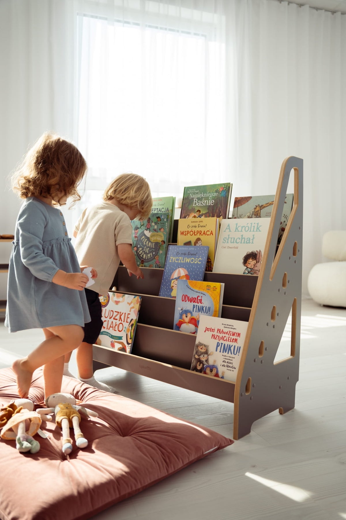 Maxi Montessori Bibliothèque
